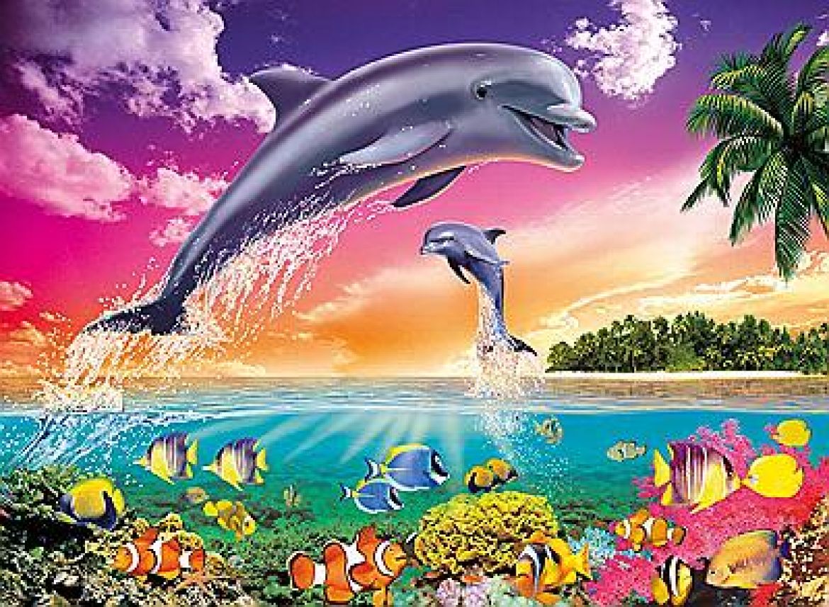 Цивилиация китов и дельфинов