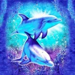 Киты и дельфины в галактике и на Земле (статья вторая)